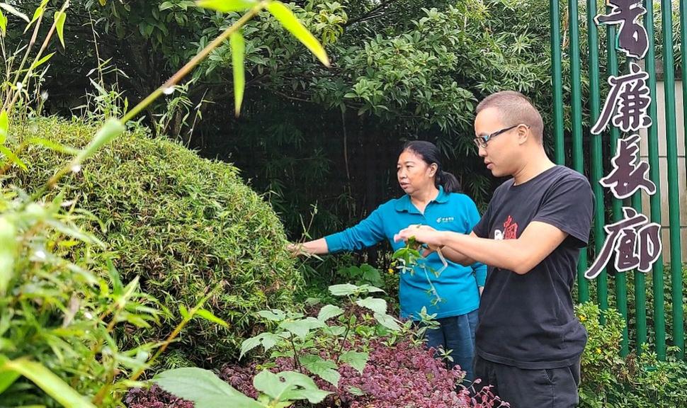 青神县：学竹之本色 葆廉洁初心