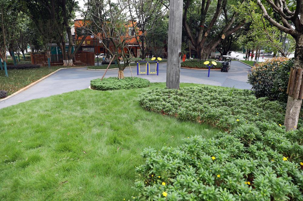 丹棱县：“口袋公园”里长出的“微幸福”