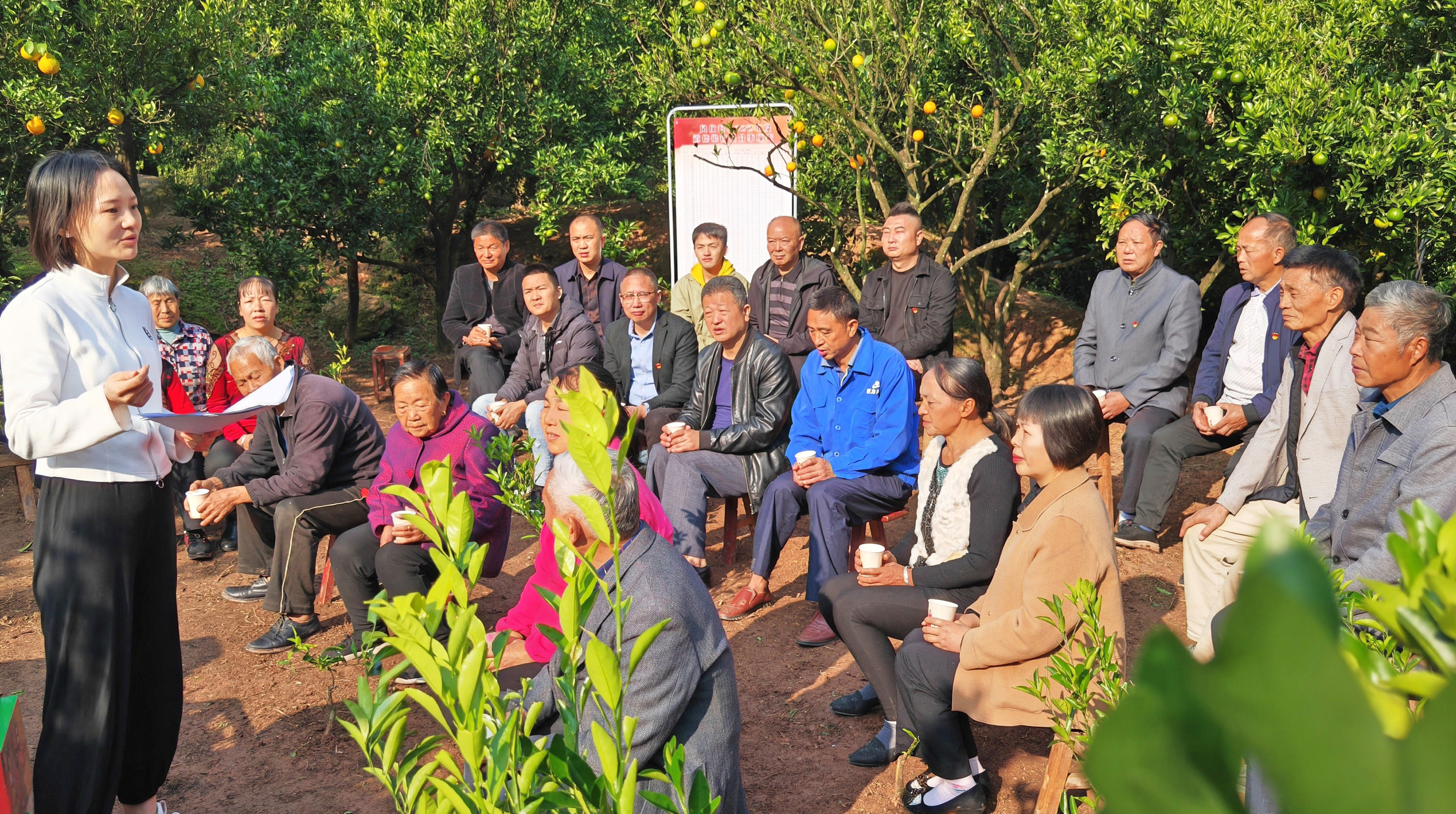 柑橘园里宣讲党的二十大精神
