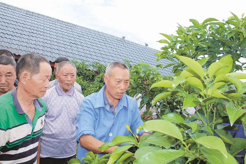 搭平台 优服务 谋创新 “天府科技云”的眉山路径