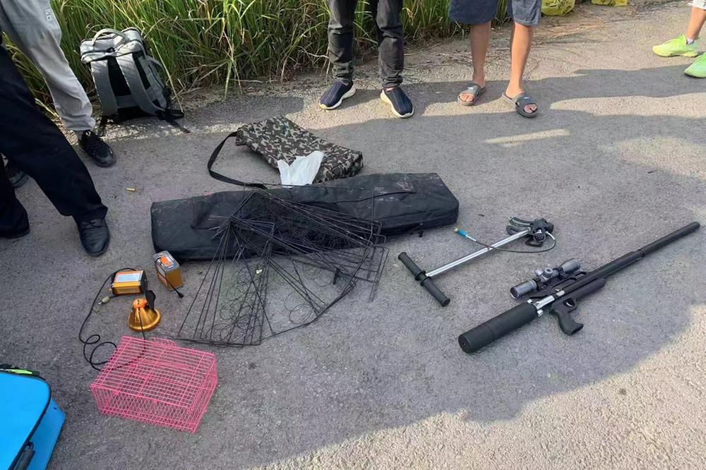 非法狩猎 华蓥市4名男子打斑鸠被抓