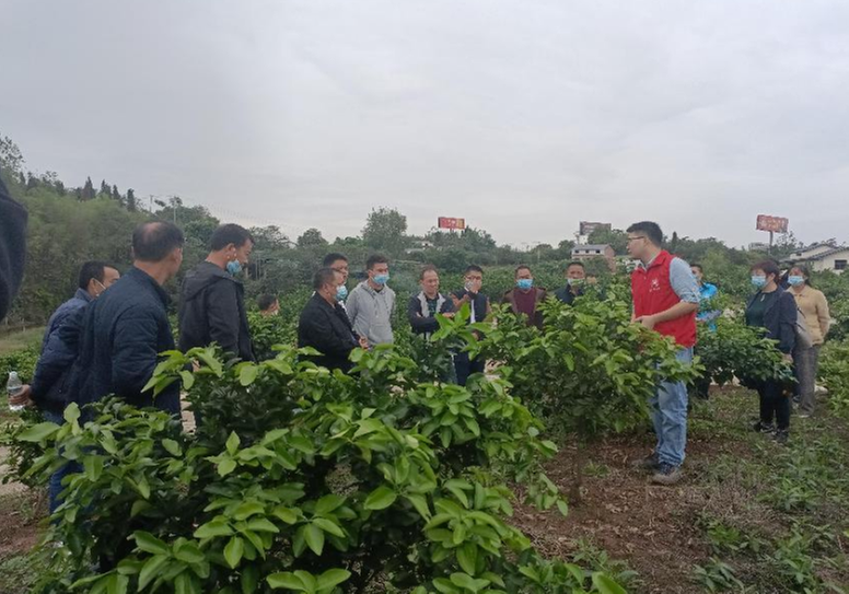 威远县举办助力乡村振兴产业技术人才培训