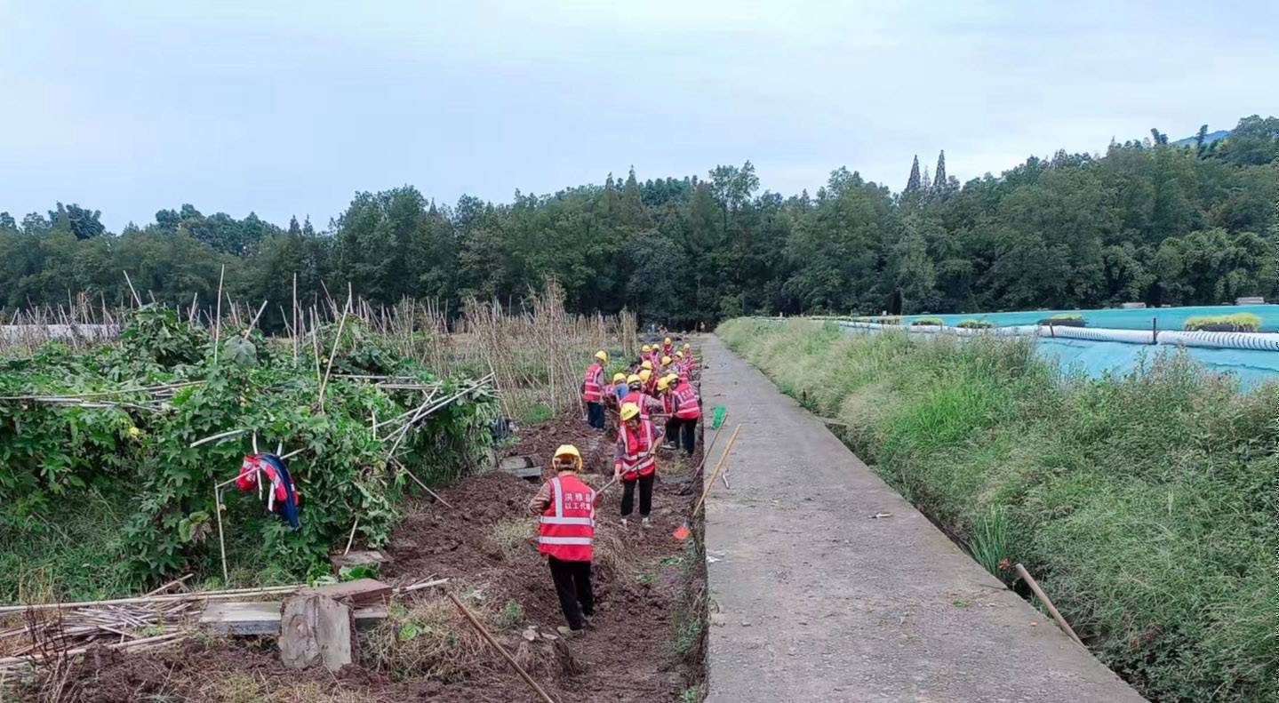 洪雅县：多方合力 打通出行就医“最后一公里”