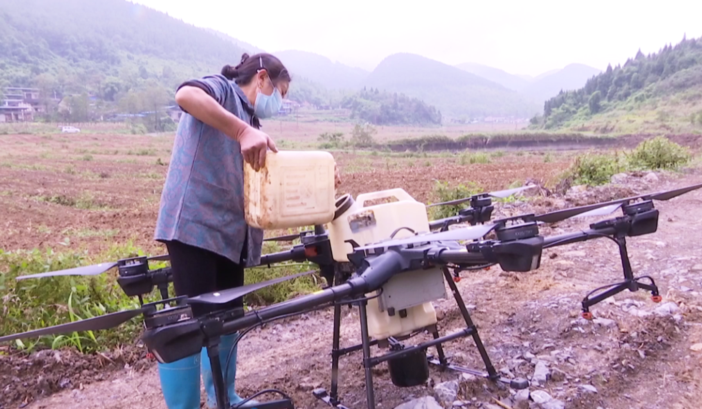 桂兴镇：为现代农业插上科技翅膀