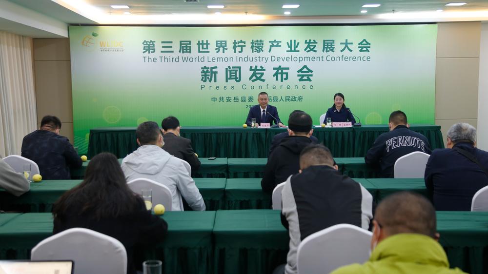 柠檬的世界  世界的柠檬