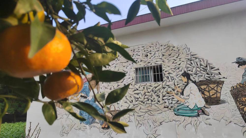 青神县：提升人居环境“颜值” 擦亮乡村振兴“底色”