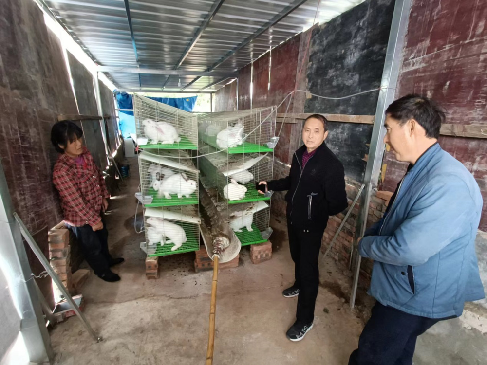 南江县：专家现场服务为老百姓解难题