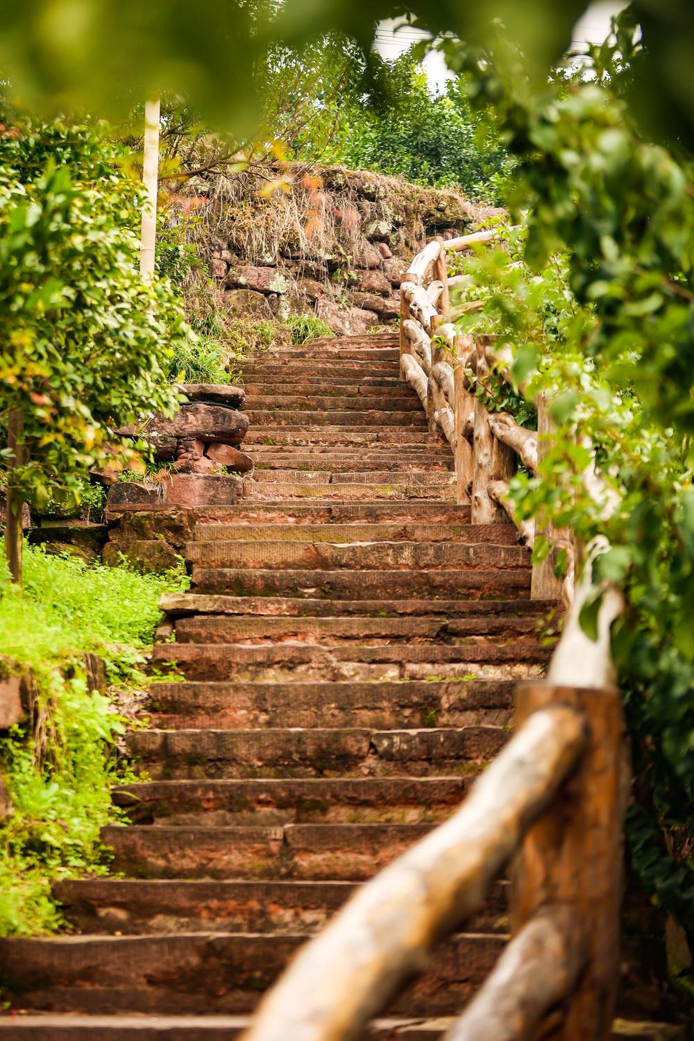 古村与世界的对话  幸福古村·山河音乐会唱响丹棱