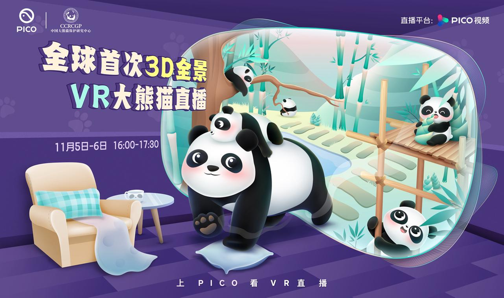 PICO联合中国大熊猫保护研究中心，全球首次呈现3D全景VR大熊猫直播