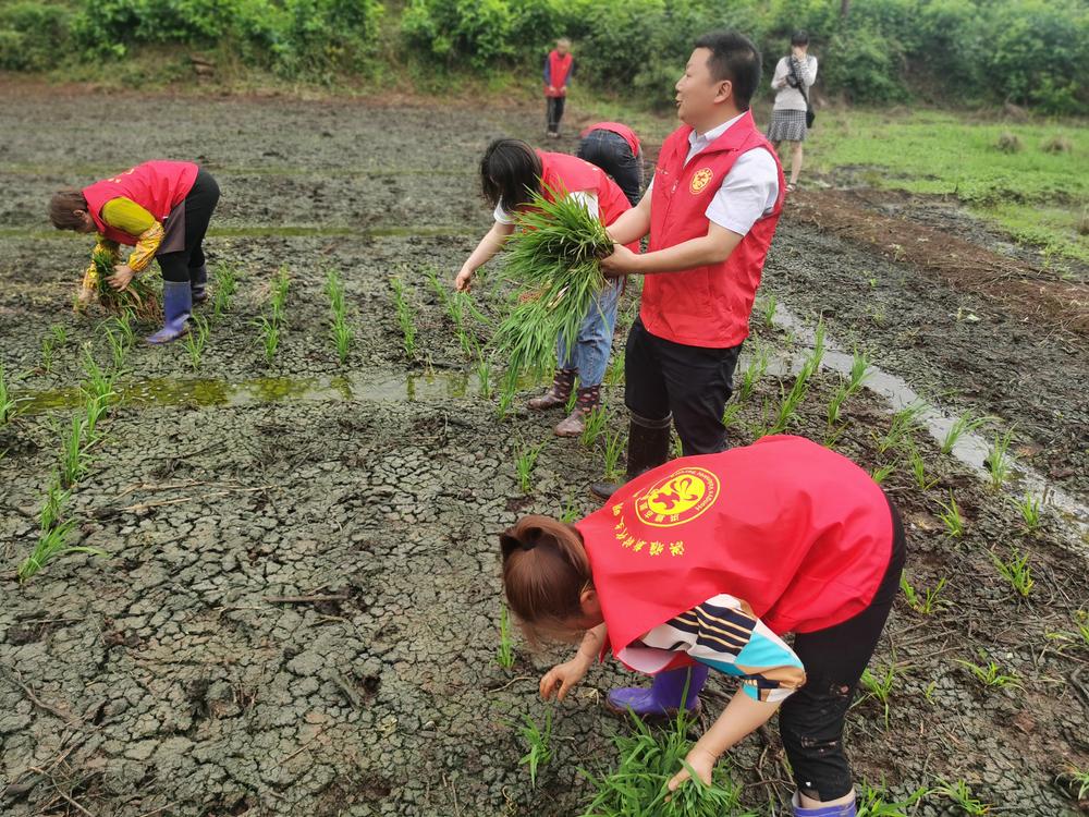 内外兼修 洪雅文明城市创建显实效