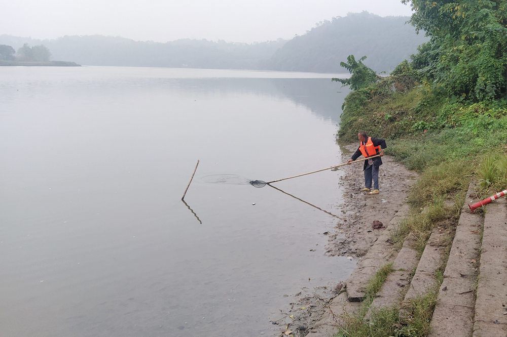 礼安镇常态化开展河渠漂浮物清理打捞工作
