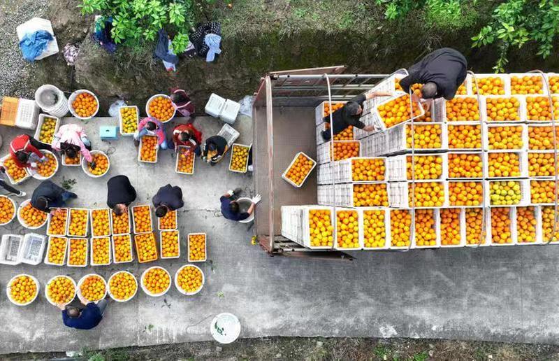 仁寿县：织就锦绣画卷 共享幸福生活