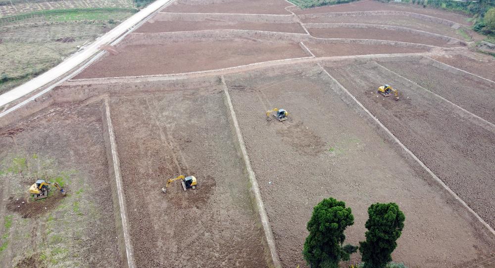 丹棱县建成高标准农田3.56万亩