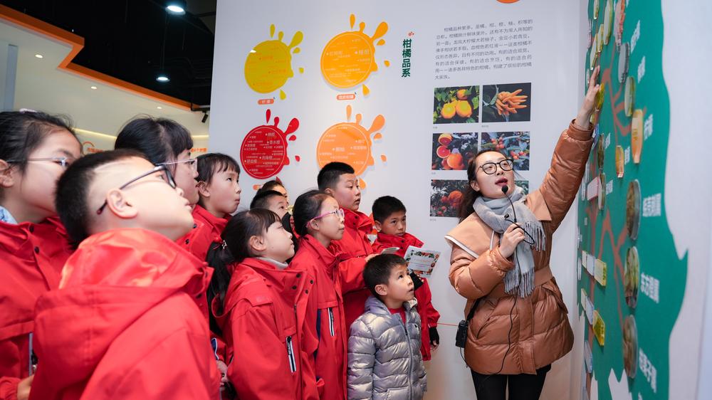 青神县柑橘产业发展势头旺