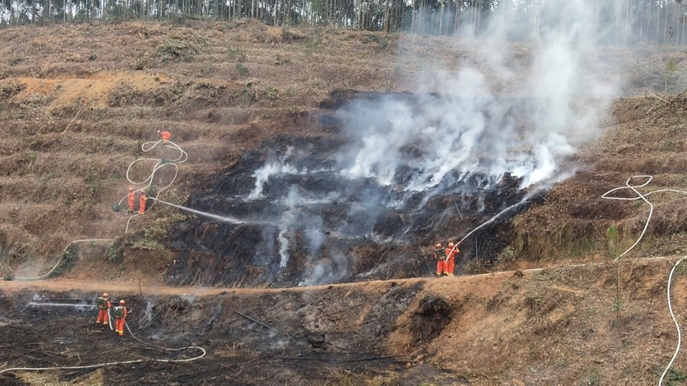 青神县：开展实战演练提高森林火灾应急处置能力