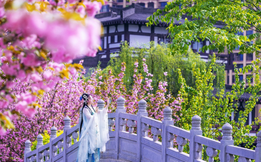 青白江区：绘一幅新城最美画卷 建一方高品质宜居园