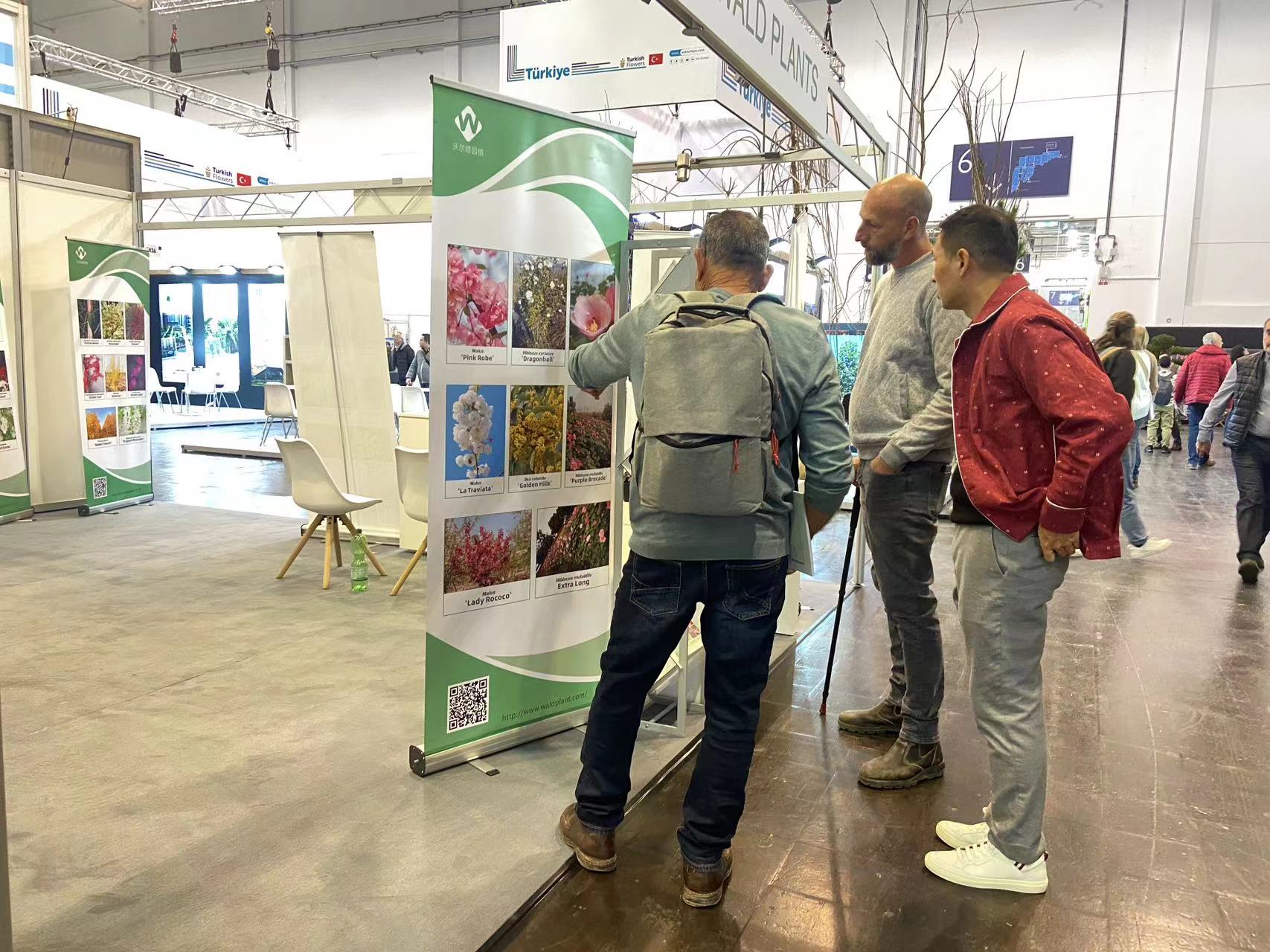 成都市植物园3个芙蓉新品种亮相德国埃森国际花卉园艺展览会