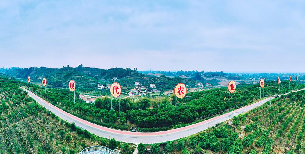 青神县：科技赋能助推柑橘产业现代化发展