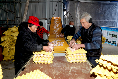 广安区：提供坚强组织保障 党建引领乡村振兴