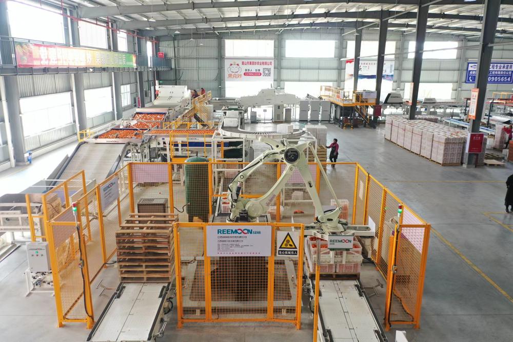 青神县：一二三产融出发展新气象