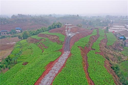 广安区：农业强农村美农民富 绘就乡村振兴新画卷