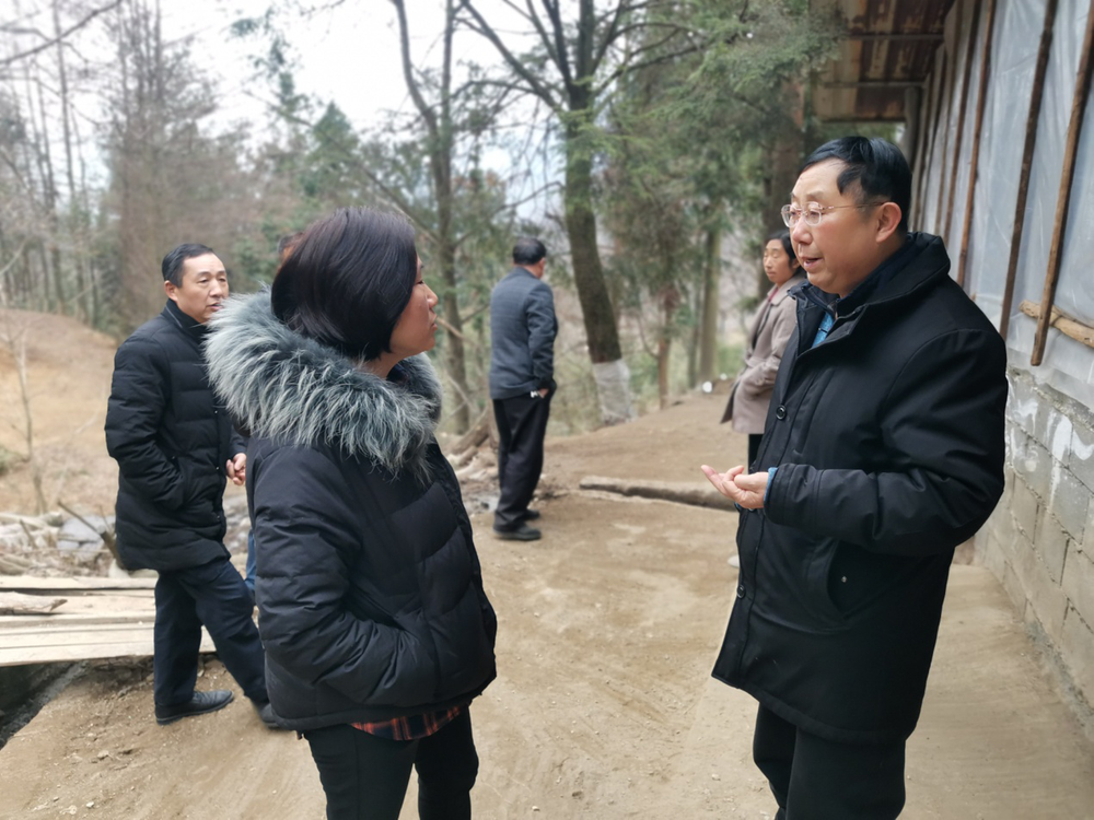 南江县召开“青峪猪南江基地建设”产业发展专题会