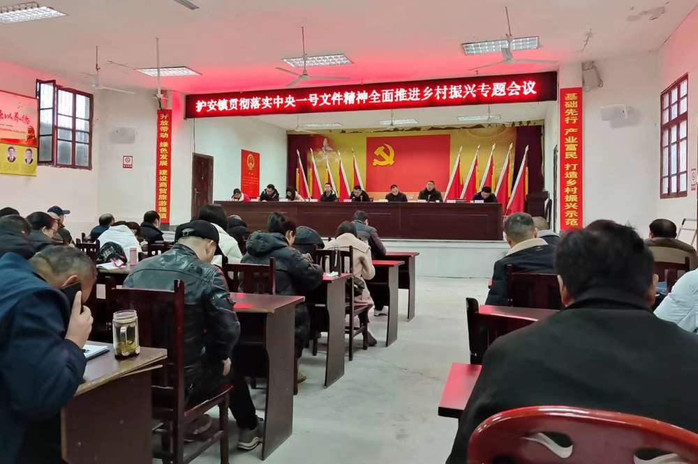 护安镇召开贯彻落实中央一号文件精神全面推进乡村振兴专题会议