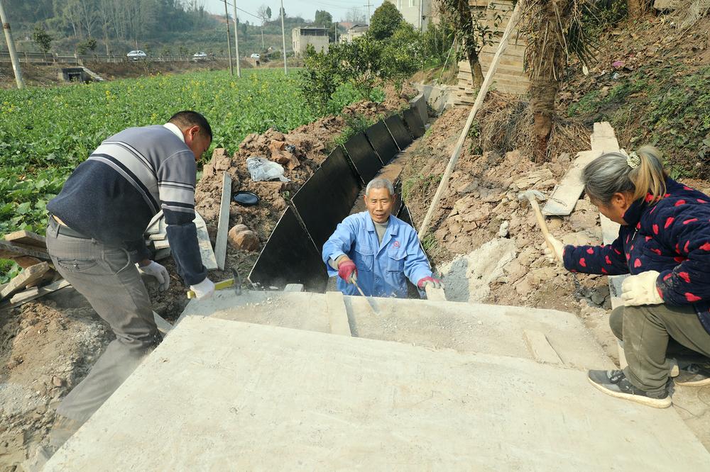 眉山市丹棱县多举措护航春耕