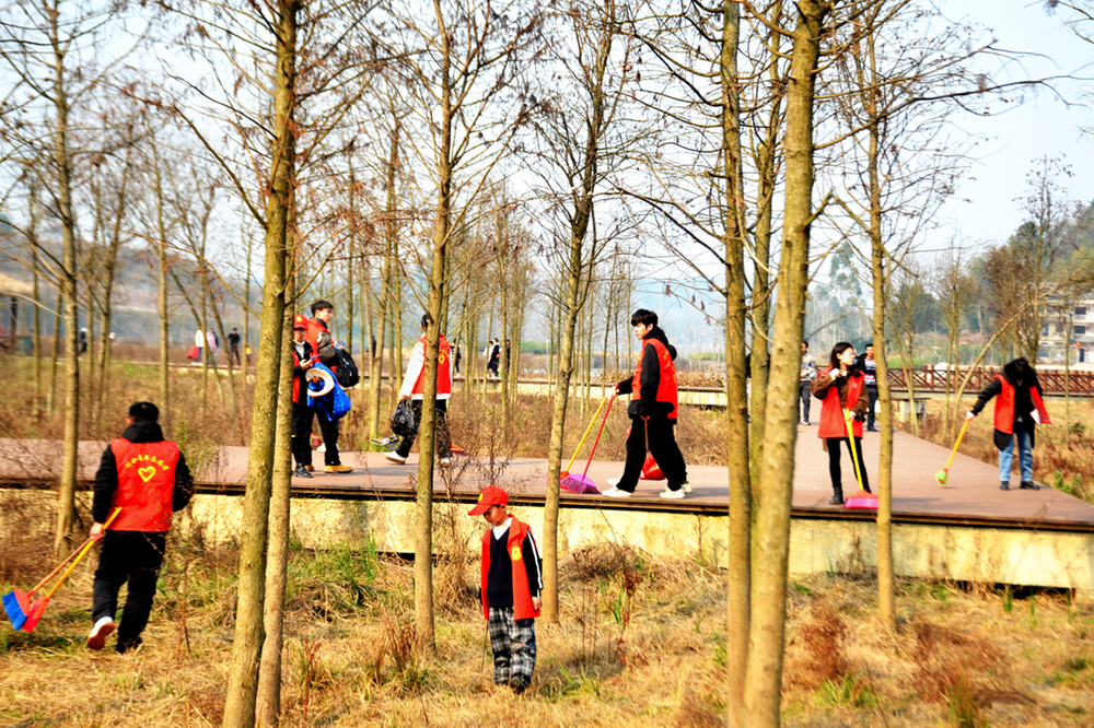 丰禾镇开展“青春志愿行，共护家乡美”行动  