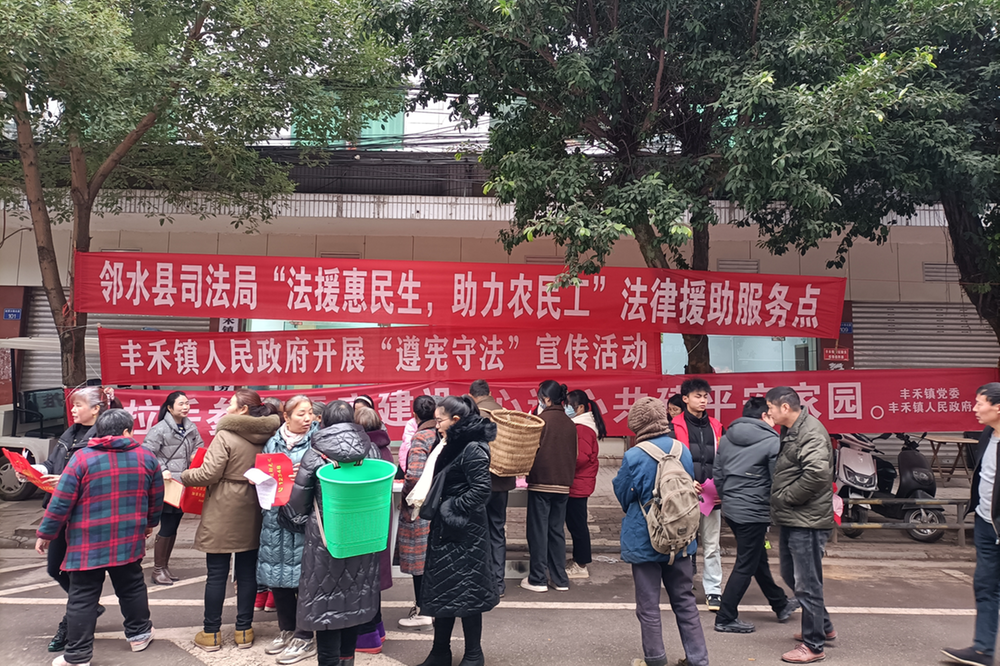 丰禾镇联动开展法治宣传活动