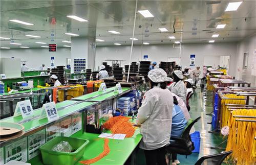 洪雅县：聚焦主题主线 精准发力阔步前行