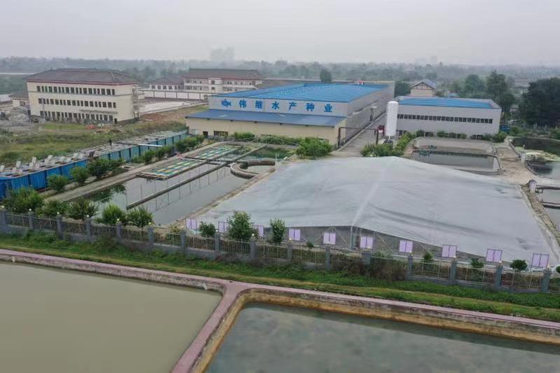 着力园区打造  提升养殖水平