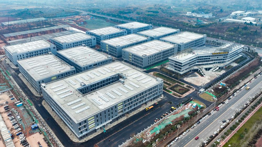 仁寿：奋战“开门红” 项目建设奏响最强音