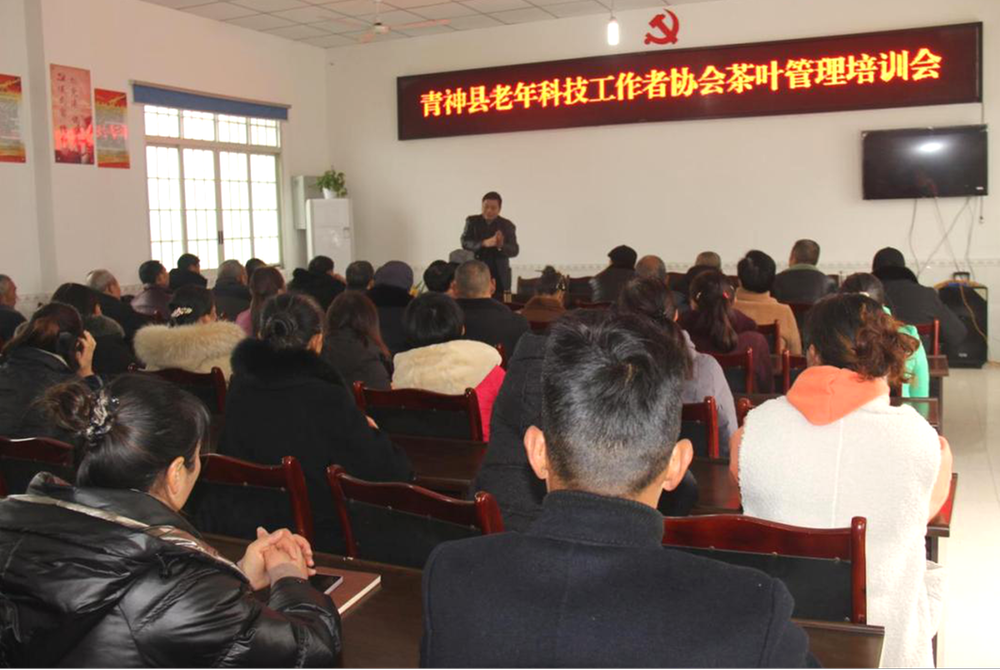 实施科普行动 助推乡村振兴