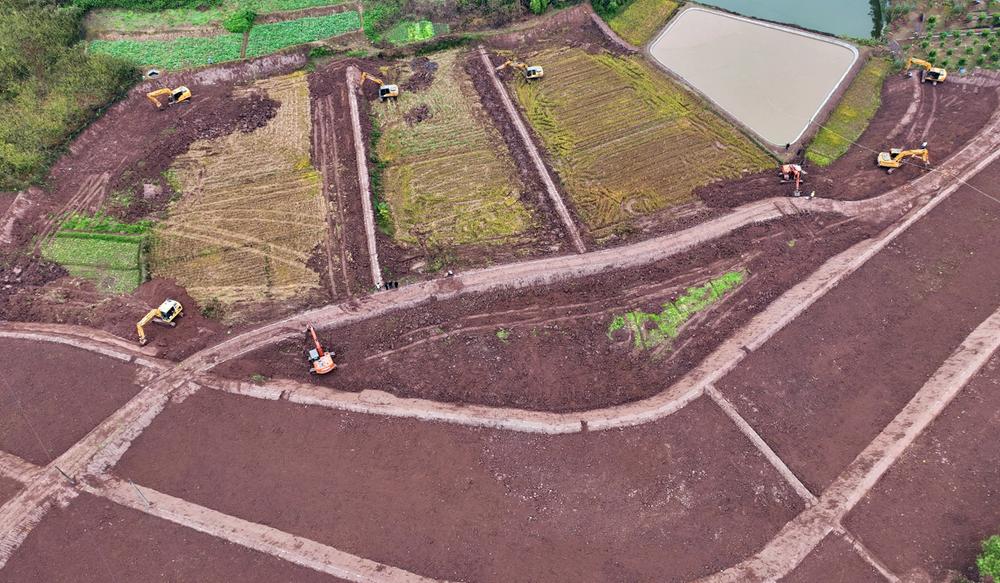 行稳致远 曙光在田堙跳跃