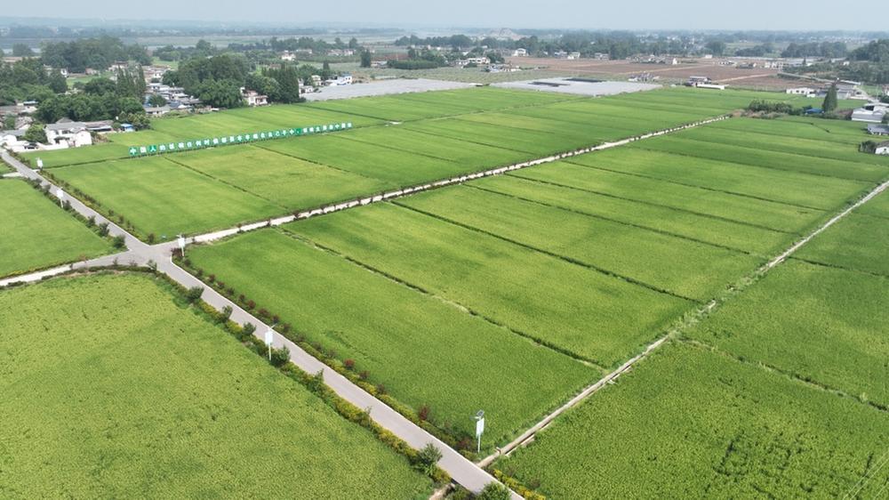 坚持提高效率与创新利用并重