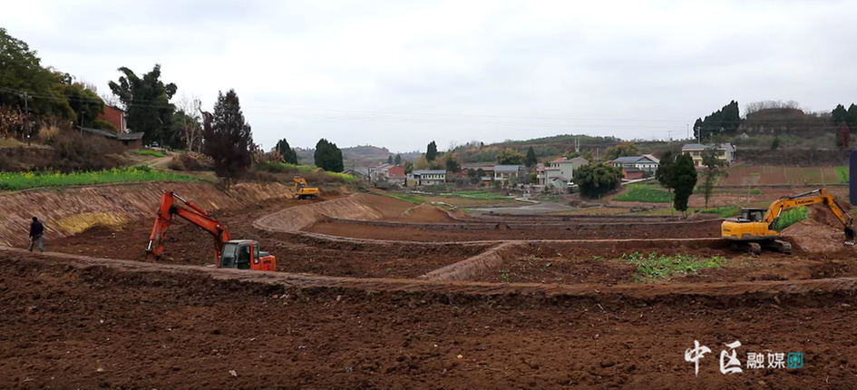 抢抓“黄金期”！内江市市中区扎实推进高标准农田建设