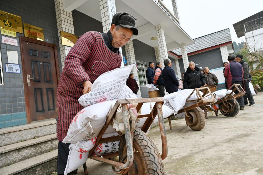 东兴区：免费化肥助春耕