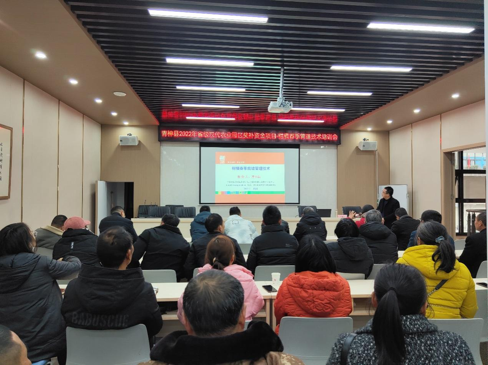 青神县开展柑橘技术培训  助力产业提质增效