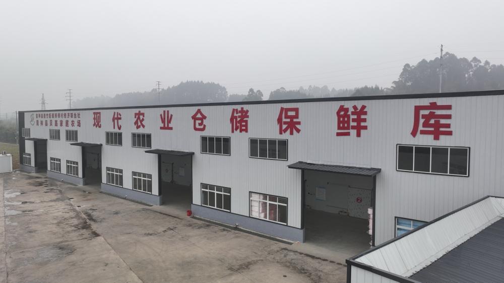 青神县：“小冻库”架起“增收桥”