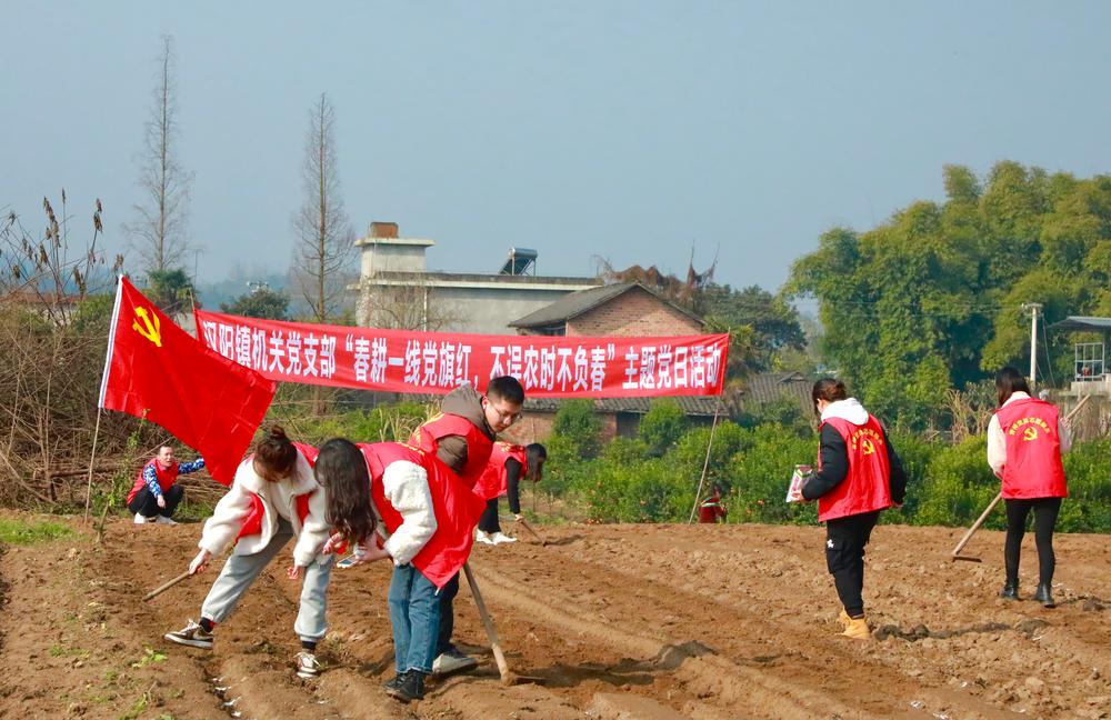 青神县：春耕一线党旗红，不误农时不负春