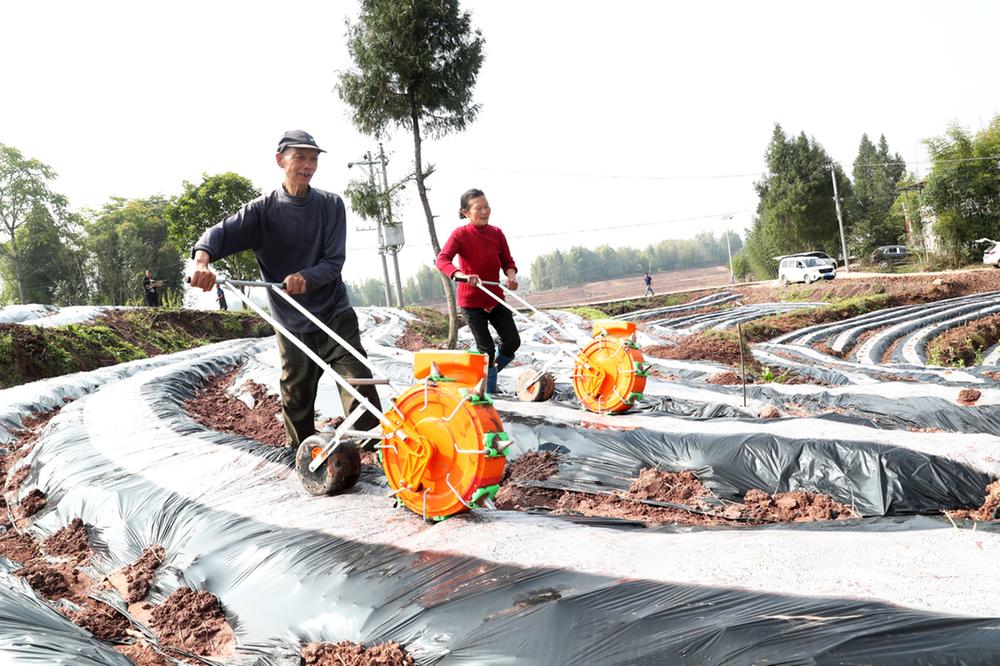 广安区：田头备耕忙 农机闹春耕