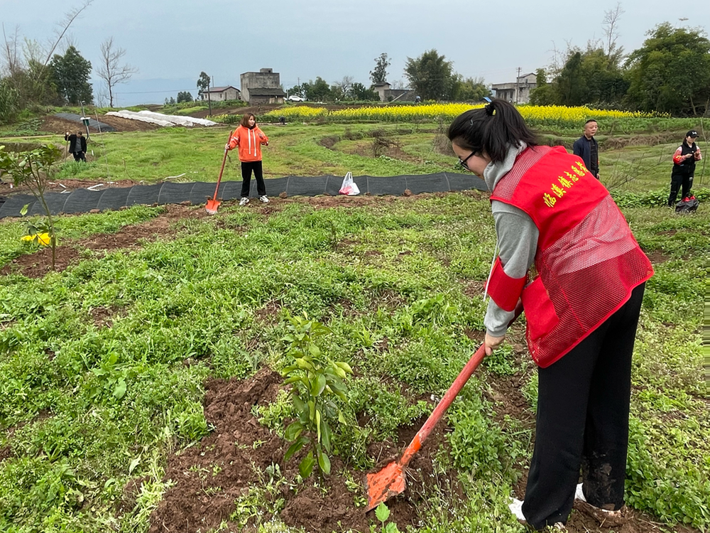 临溪镇开展义务植树活动