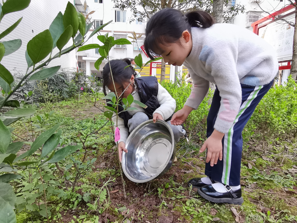 岳池县九龙街道五里牌社区开展志愿服务活动