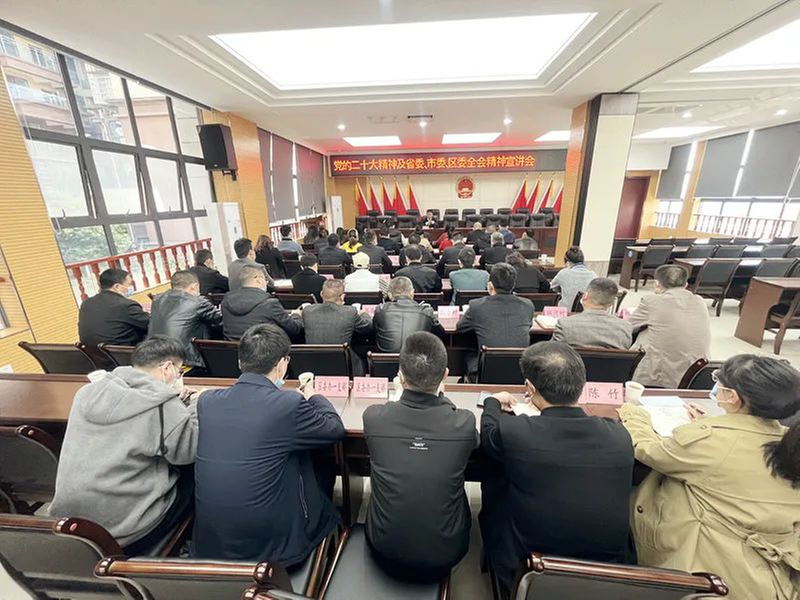 白马镇开展党的二十大精神及省委、市委、区委全会精神宣讲会