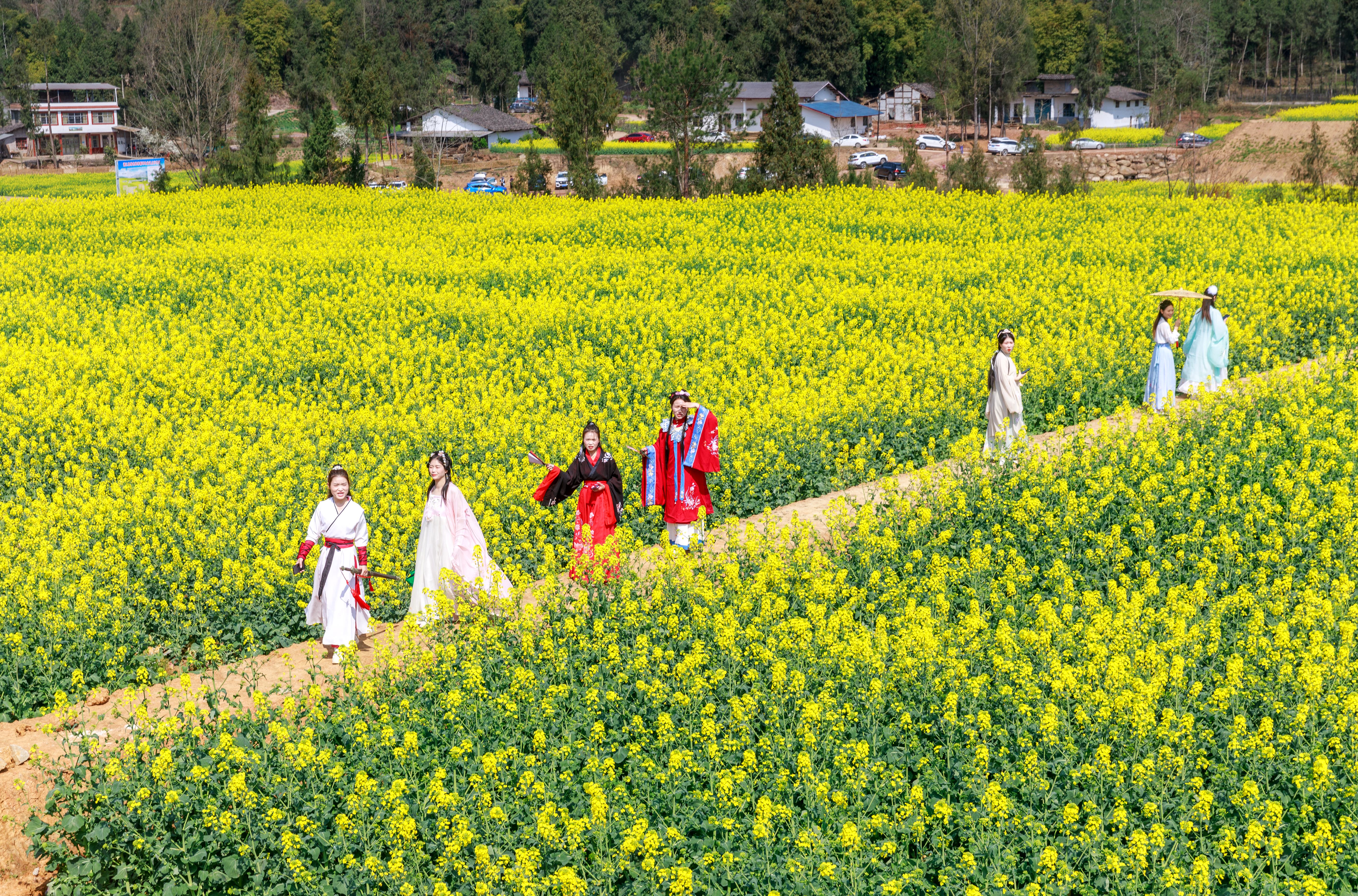 赏花踏青 乐享春光