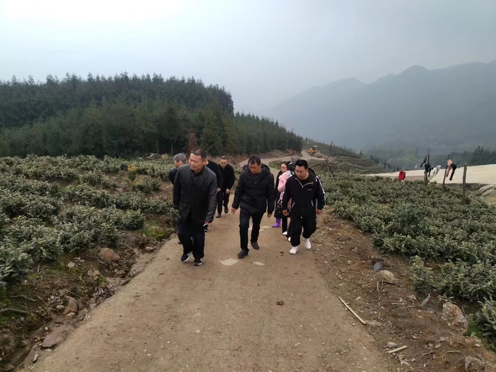 夹江县政协助力河西片区乡镇高质量发展