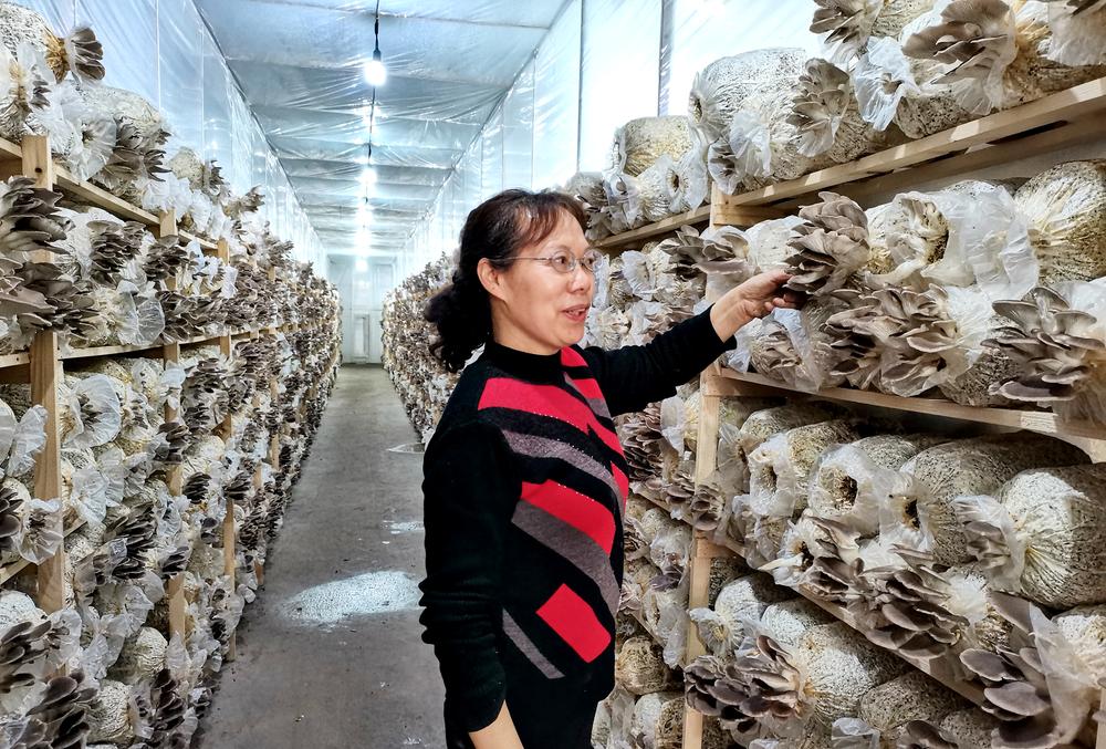 岳池县朝阳街道：发展规模种植 助力乡村振兴