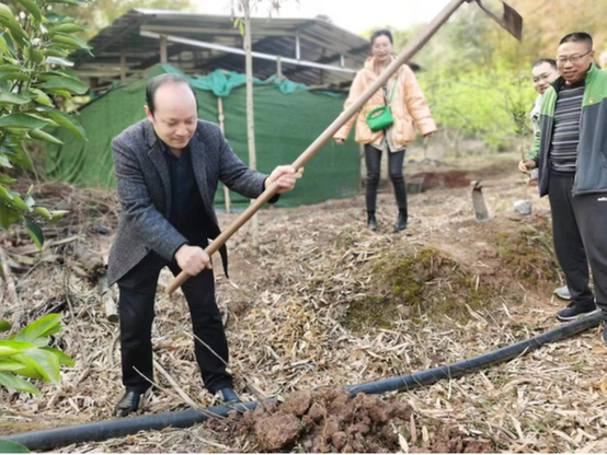 简阳市人民医院组织党员开展义务植树活动
