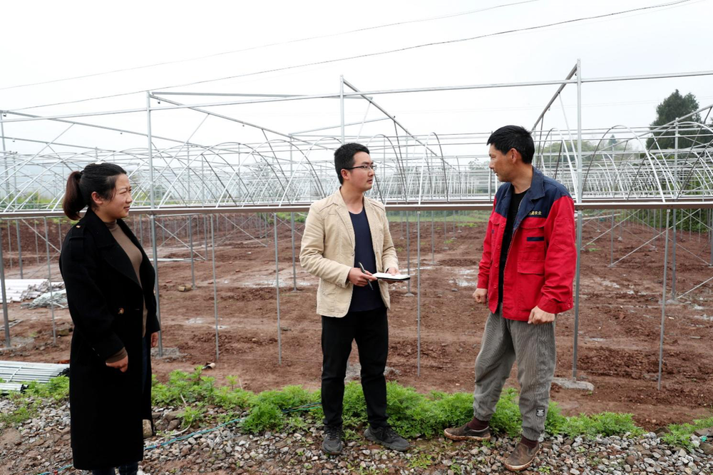 壮大村集体经济 广安区战斗村投资300万元建智能大棚